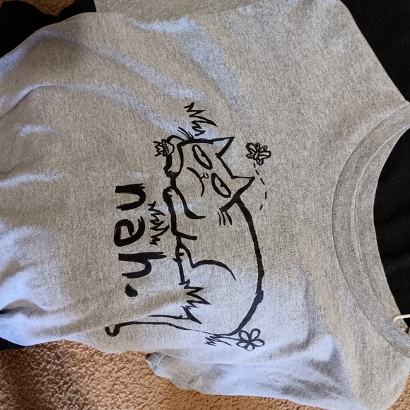 lot of 4 large t-shirts (2 graphic) - Picture 2 of 7